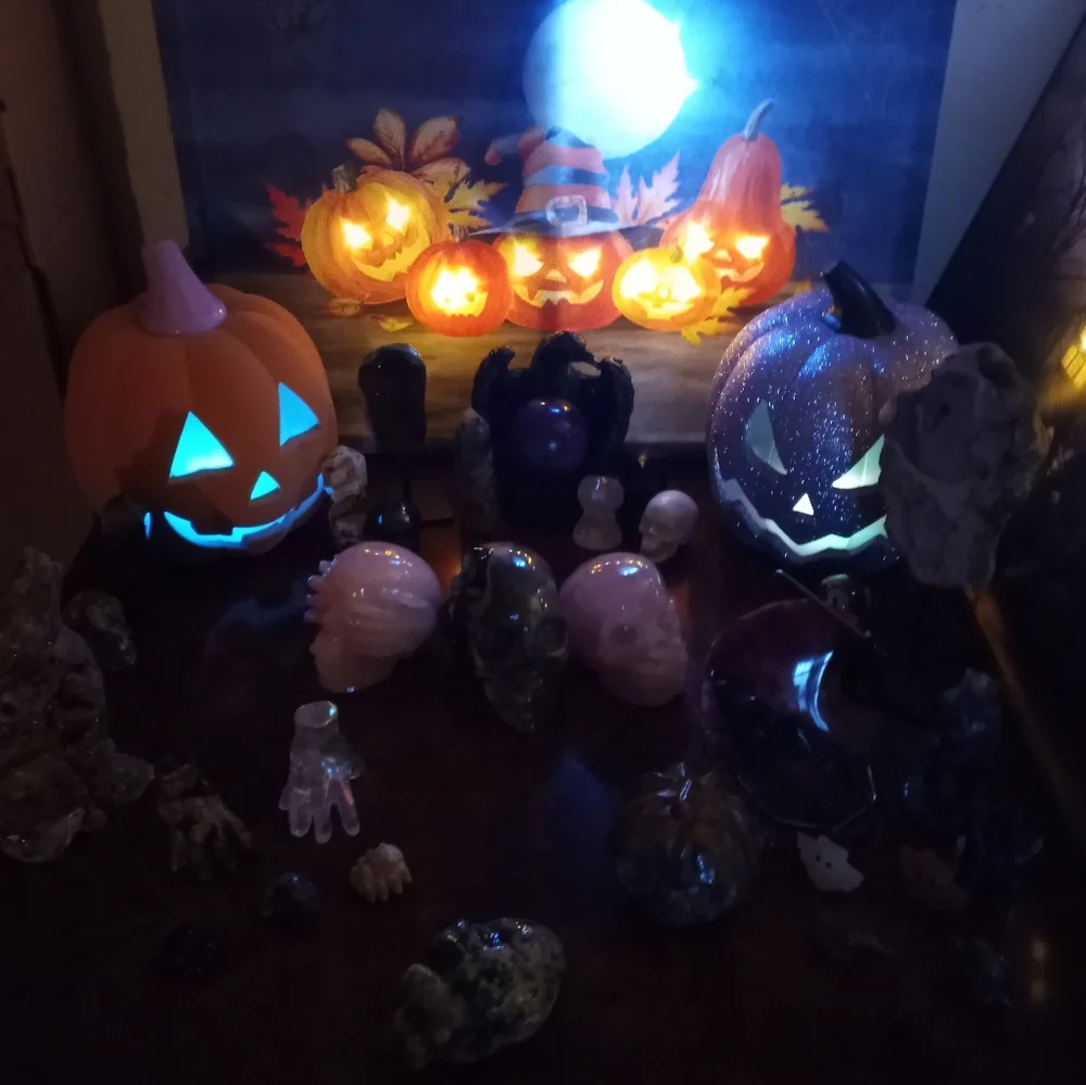 Contest - Picture 7 of 10